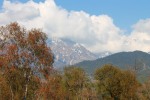 Mountain View from Palampur